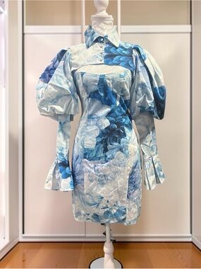 ASOS Luxe Blue Floral Puff-Sleeve Mini Dress - Designer Style